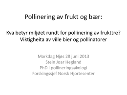 Stein Joar Hegland (Villbier og pollinering i frukt)