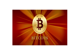 Bitcoins (muntlig presentasjon mai 2013, A2)