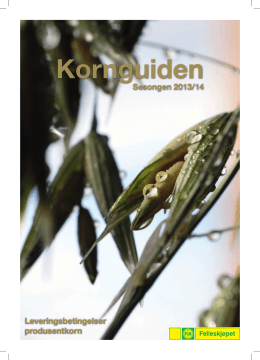Kornguiden_2013_14_web