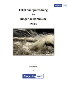 Lokal energiutredning Ringerike kommune 2013 - Ringeriks