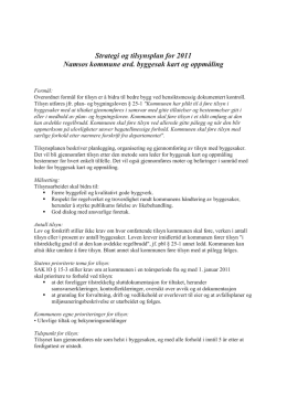 Strategi og tilsynsplan for 2011 Namsos kommune avd. byggesak