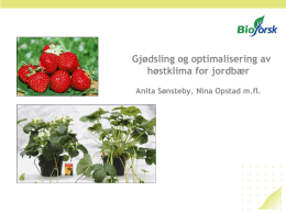 media/ring/1201/Produksjonsklare jordbærplanter.pdf
