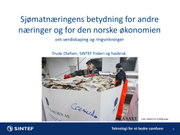 Presentasjon Trude Olafsen.pdf