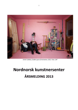 Nordnorsk kunstnersenters årsmelding 2013