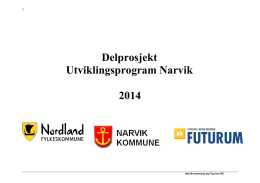 Delprosjekt Utviklingsprogram Narvik 2014
