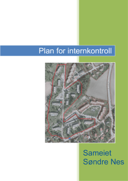 Sameiet Søndre Nes Plan for internkontroll