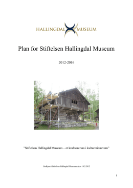 Plan for Stiftelsen Hallingdal Museum