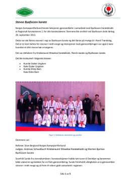 Byafossen Karate stevne 28091