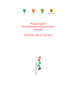 Setesdal Prosjektrapport 2011 psykisk helse og rus.pdf