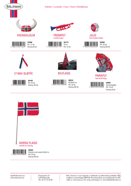 vikinghjelm bilflagg 17 mai sløyfe norsk flagg trompet