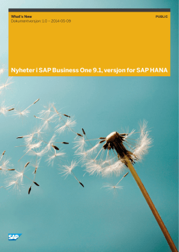 Nyheter i SAP Business One 9.1, versjon for SAP