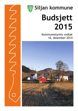 Budsjett 2015 - Siljan kommune