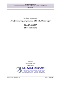 Detaljregulering for gnr./ bnr. 21/9 mfl. Ormaberget Plan ID: 201217
