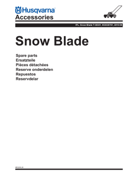 IPL, Snow Blade T-30341, 953530701, 2010-09