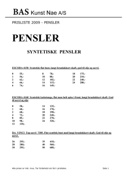 PENSLER - BASkunst.no