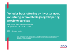 Øyvind Sunde: Veiledning om budsjettering av investeringer