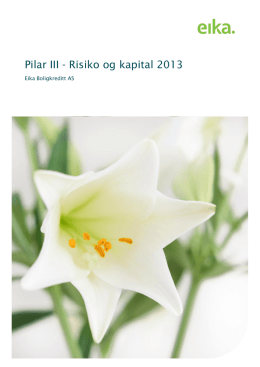 Pilar III - Risiko og kapital 2013