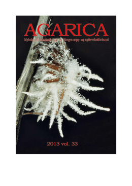Agarica 2013, Vol. 33 - Norges sopp