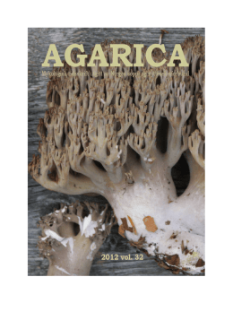 Agarica 2012, Vol. 32 - Norges sopp