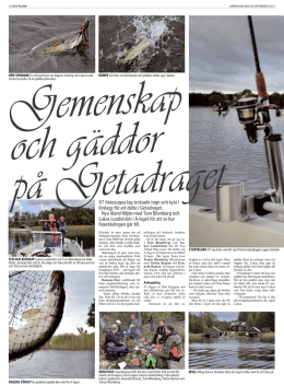 Reportage i Nya Åland 30.9.2013