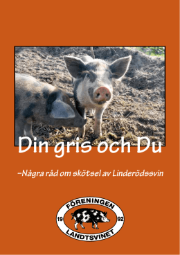 Din gris och Du - Föreningen Landtsvinet