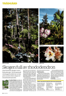 DN (pdf) - Klöva Naturträdgård