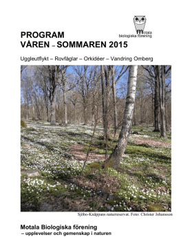 Program MBF våren 2015_original.pdf