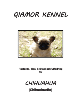 File - Qiamor Kennel