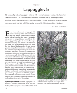 Lappugglev&aring;r