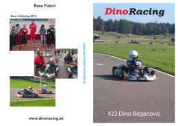 Dino_Beganovic_sponsor_ 2013