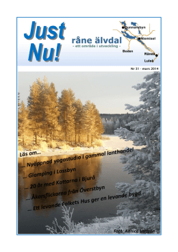 Just Nu! Nr 31 - mars 2014.pdf