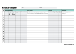 Huvudv&auml;rksdagbok (pdf)
