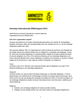 Här kan du läsa Amnestys effektrapport för 2013.