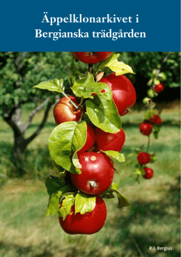 Äppelklonarkivet i Bergianska trädgården, texter om våra äppelsorter