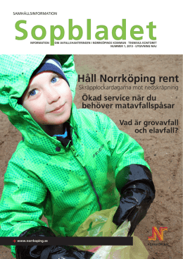 Sopbladet nummer 1, 2013