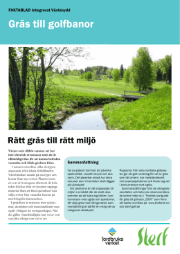 Gräs till golfbanor - The Scandinavian Turfgrass and Environment