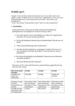 Praktik i gy11 - WordPress.com