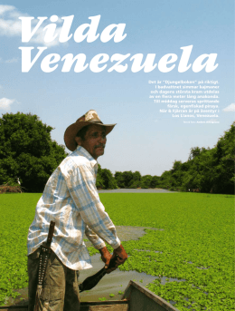 Los Llanos i Venezuela
