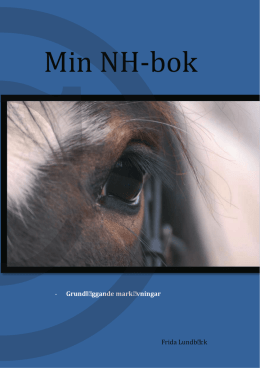 Min NH-bok - Minbok.nu