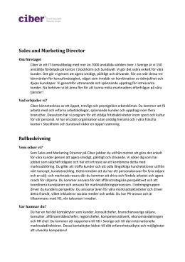 Sales and Marketing Director Rollbeskrivning