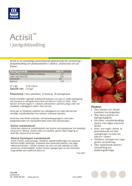 Actisil - jordgubbar