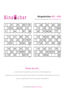 skriva ut bingobrickor gratis