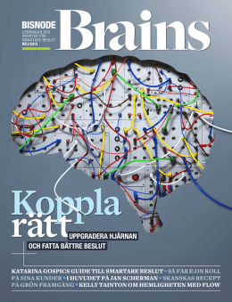Ladda ner tidningen Brains (PDF)