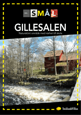 Gillessalen - Smålandsvillan