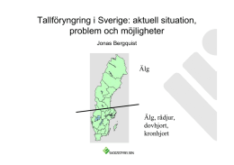 Tallföryngring i Sverige: aktuell situation, problem och