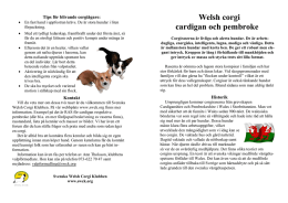 Welsh corgi cardigan och pembroke