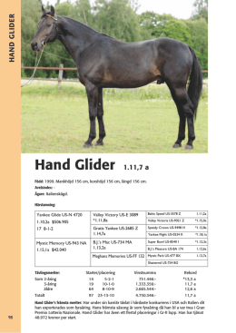Hand Glider 1.11,7 a
