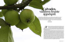 Calvados, världens finaste äppelsprit