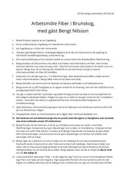 Arbetsmöte med Bengt Nilsson 2013-05-20 (pdf)
