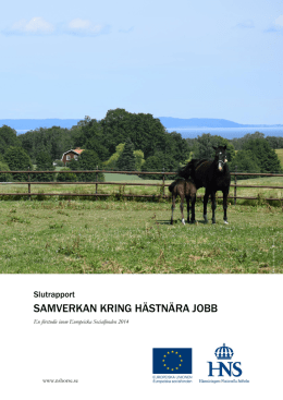 SAMVERKAN KRING HÄSTNÄRA JOBB - Hästnäringens Nationella
